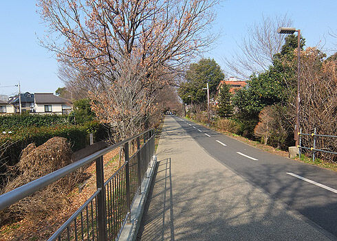 多摩湖自転車道路.jpg