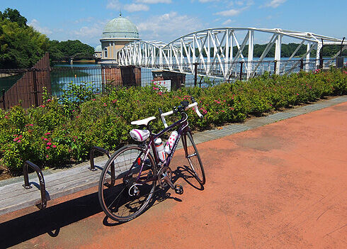 多摩湖自転車道~多摩湖一周
