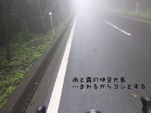 3-雨と霧の大島.jpg