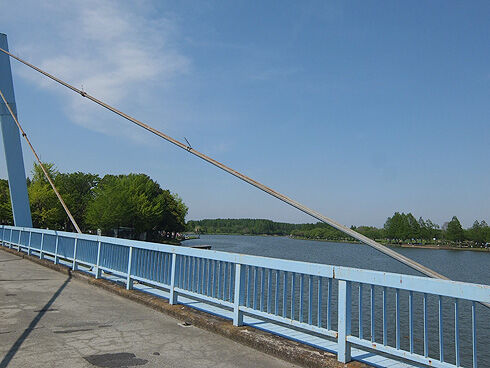 柴又帝釈天ポタリング