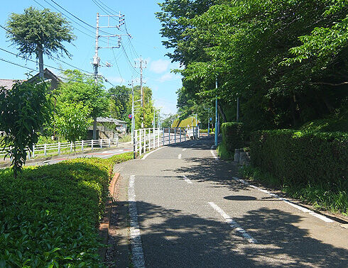 多摩湖自転車道~多摩湖一周