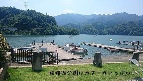 12-相模湖公園.jpg