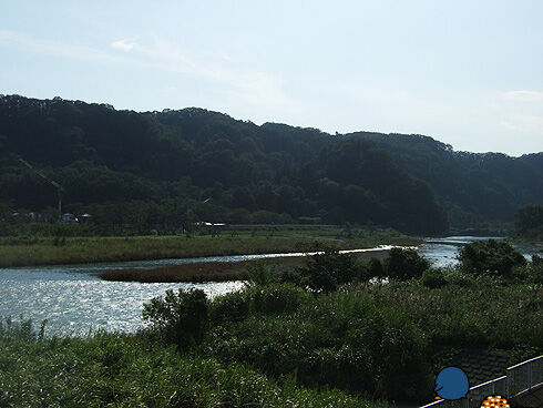 多摩川.jpg
