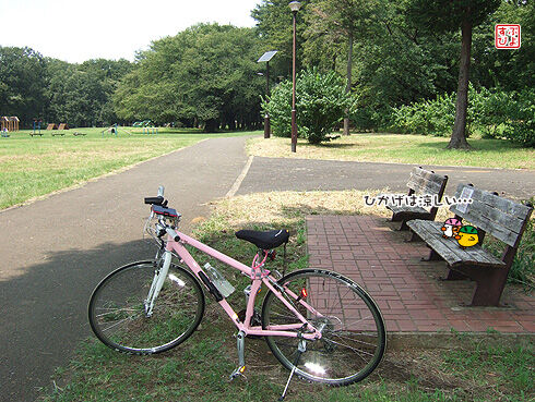 野川公園.jpg