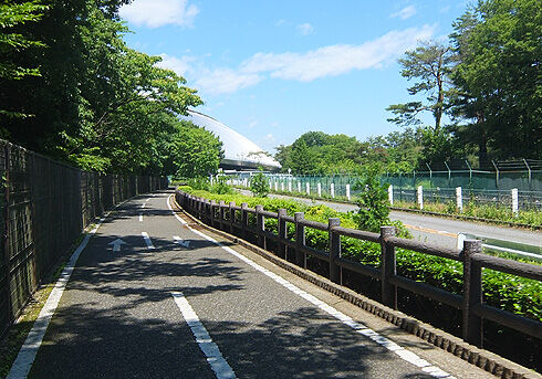 多摩湖自転車道~多摩湖一周