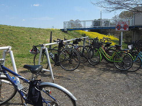 荒川サイクリングロードから榎本牧場へ