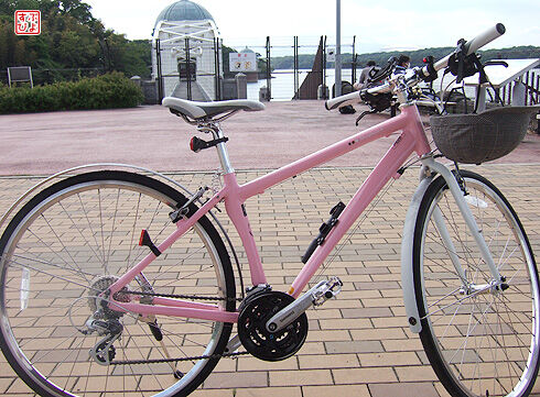 ライトウェイ シェファード