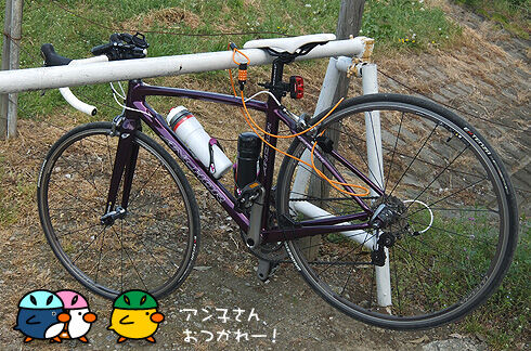 荒川CR〜榎本牧場へ