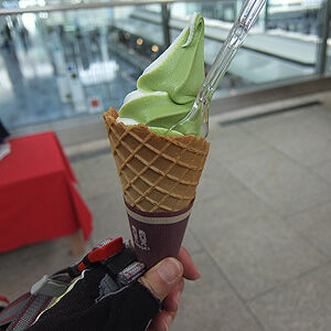 羽田空港へサイクリング