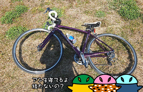 RL8Wで荒川サイクリングロードへ