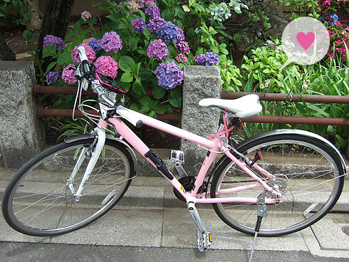 ライトウェイ シェファード.jpg