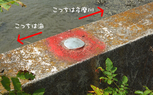 羽田空港へサイクリング