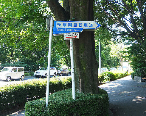 多摩湖自転車道~多摩湖一周