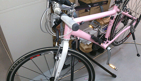 ライトウェイシェファード チェーン掃除