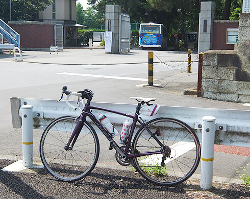 母校前のアン子