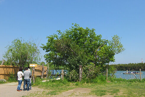 柴又帝釈天ポタリング