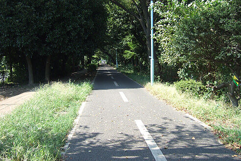 多摩湖サイクリングロード.jpg