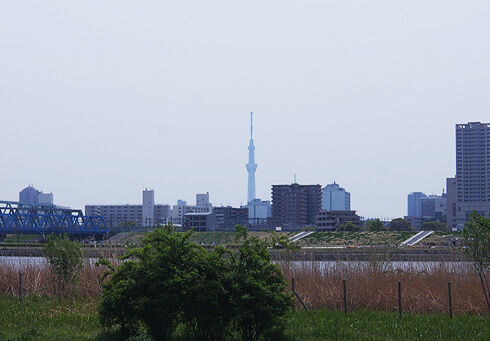 荒川サイクリングロード