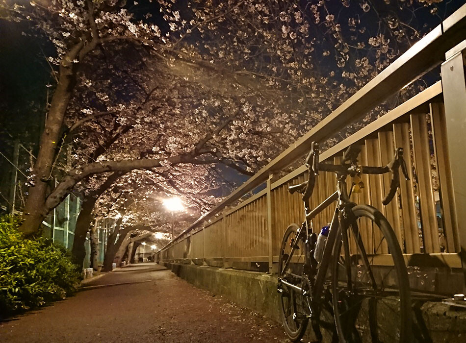 4-0323夜桜