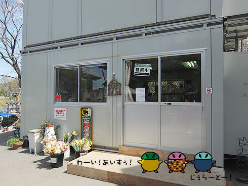 荒川サイクリングロードから榎本牧場へ