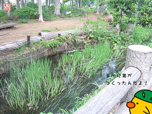 玉川上水.jpg