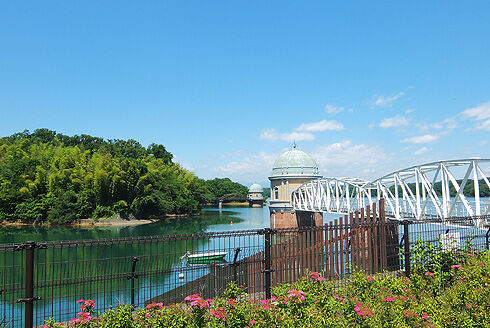 多摩湖自転車道~多摩湖一周