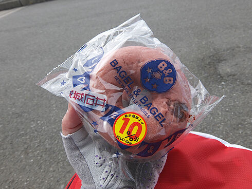 荒川サイクリングロード,水門めぐり