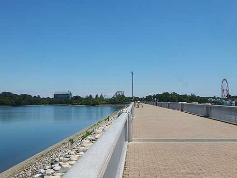 多摩湖自転車道~多摩湖一周