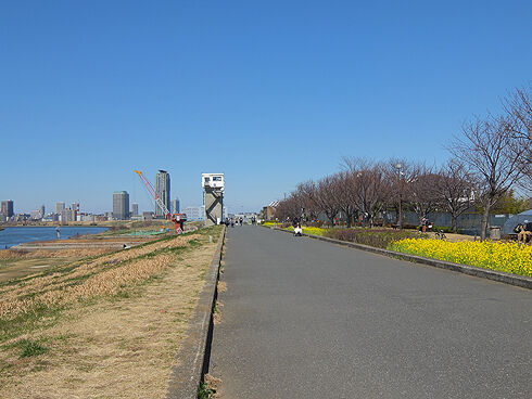 見沼自然公園へ1荒川CR.jpg
