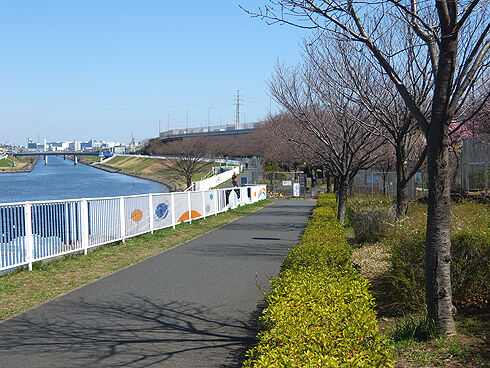見沼自然公園へ2芝川CR.jpg