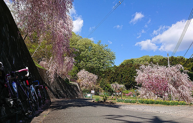 05澤谷山-寳福寺.jpg