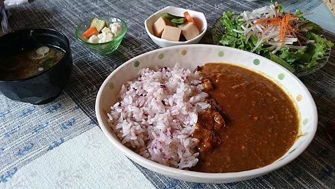 9無地カレー.jpg