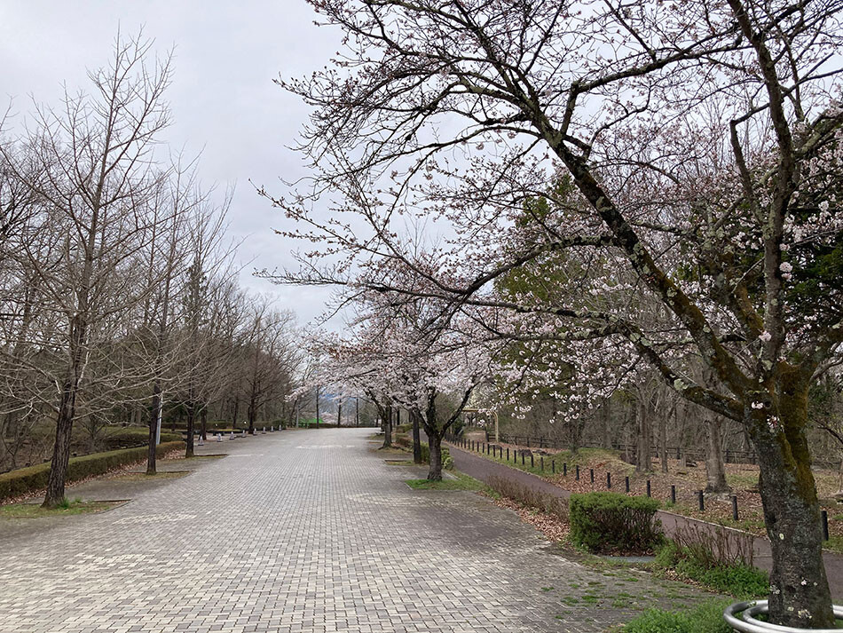 05ミューズパーク