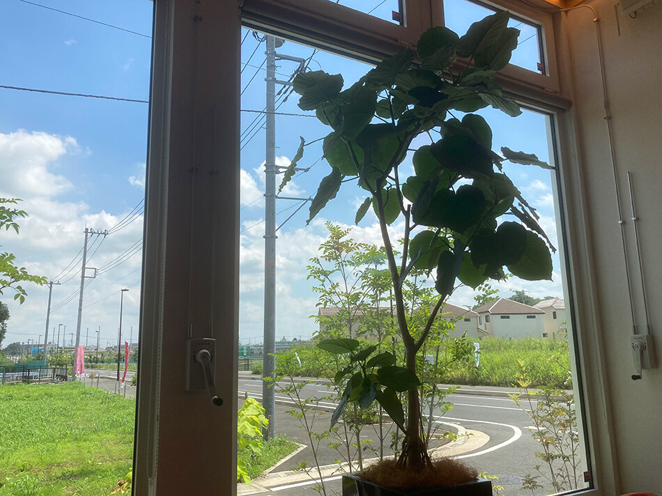 06レストランコンフェッティ