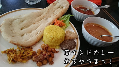 02南インドカレー.jpg