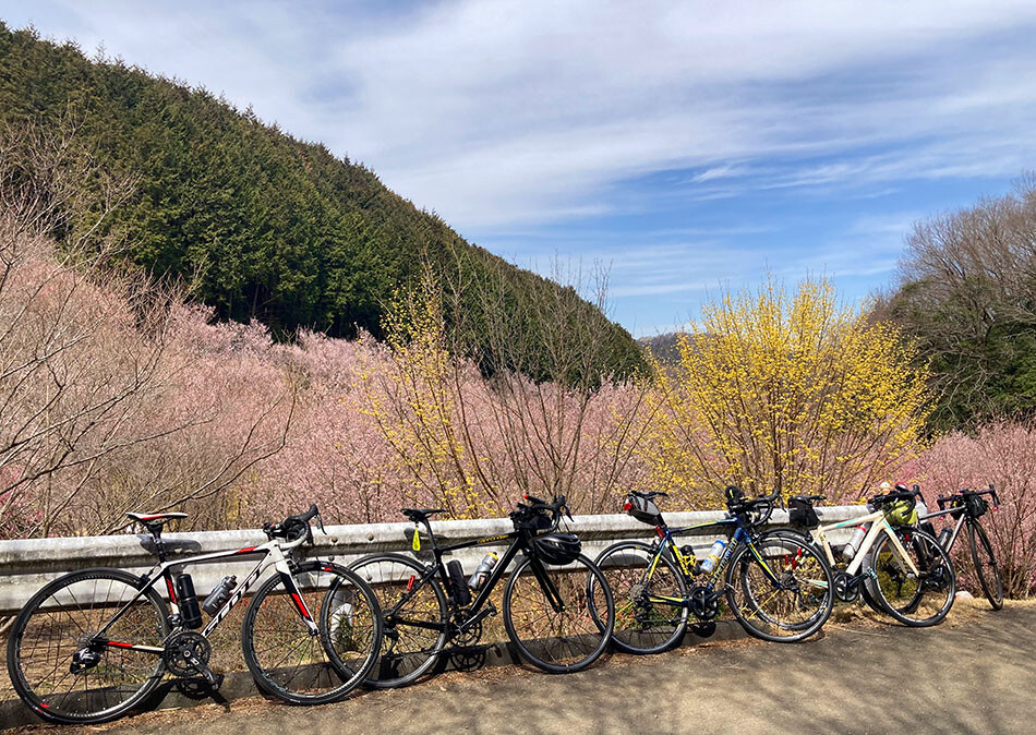 09小川町の桃源郷