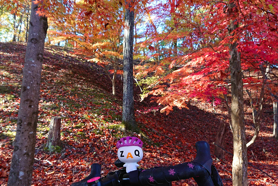 02鹿沼運動公園