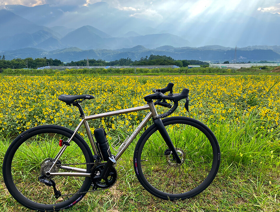 明野のヒマワリ1