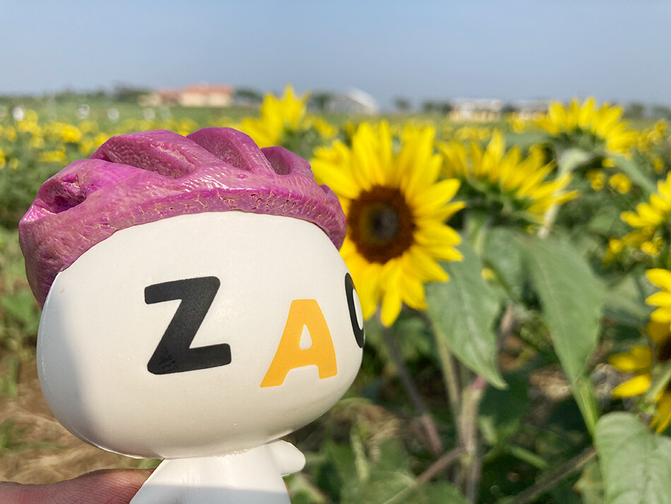 12ソレイユの丘