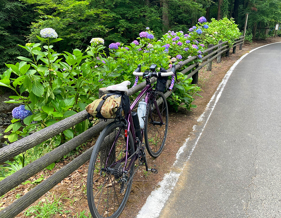 02あじさい街道