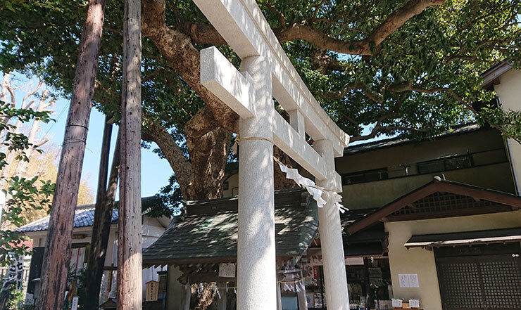 15御霊神社.jpg