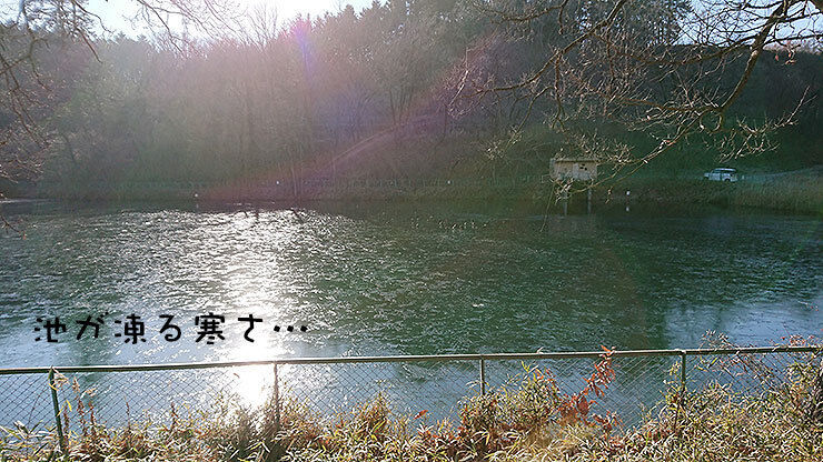 2凍った池.jpg