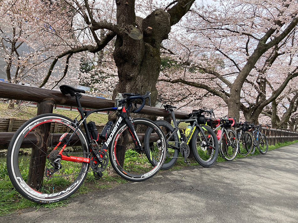 09川越氷川神社