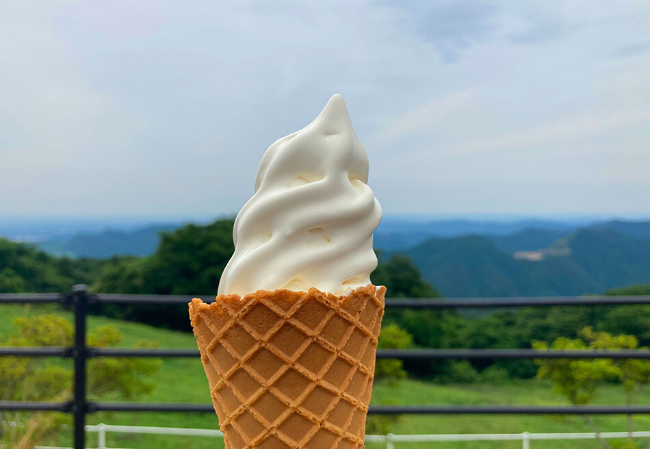 12秩父高原牧場