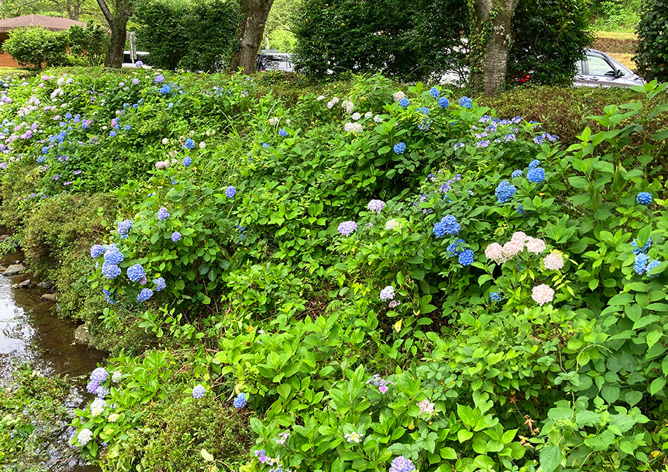 01雀川砂防ダム公園