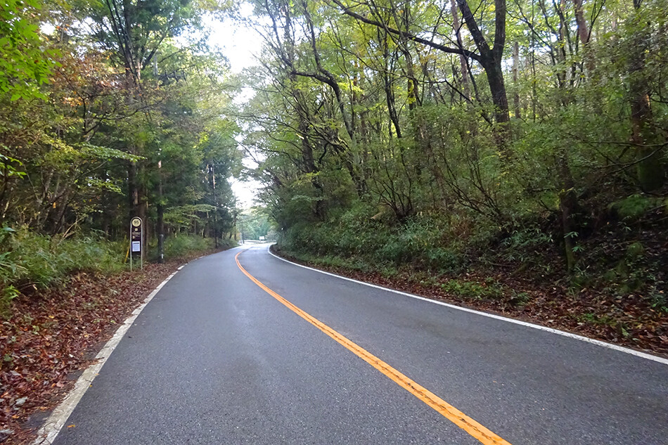05霧降高原への道