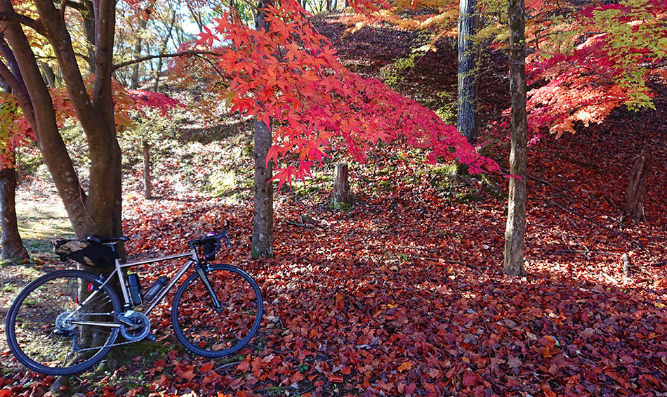 01鹿沼運動公園