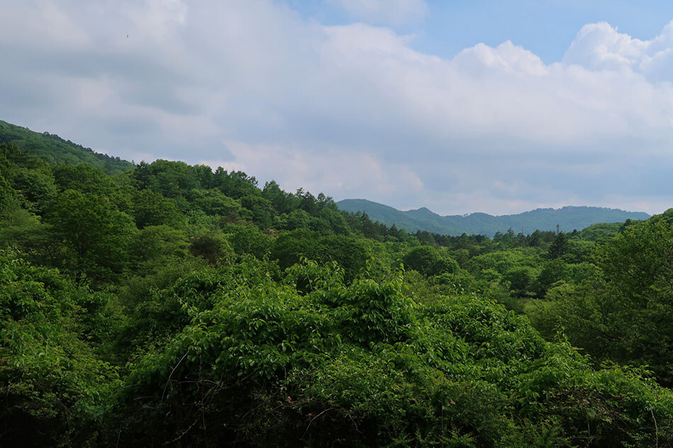 36古峰ヶ原高原