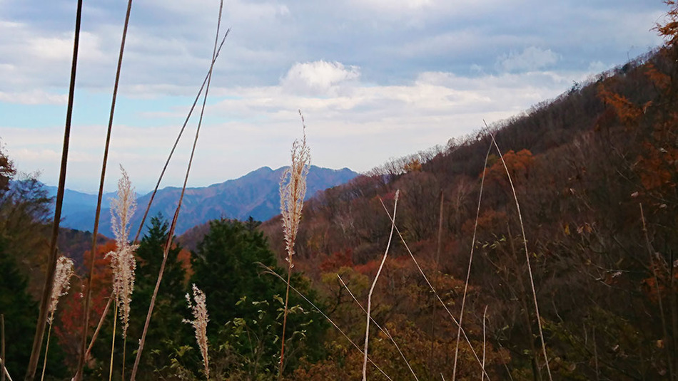 27古峰ヶ原街道