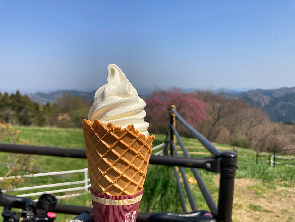 13秩父高原牧場